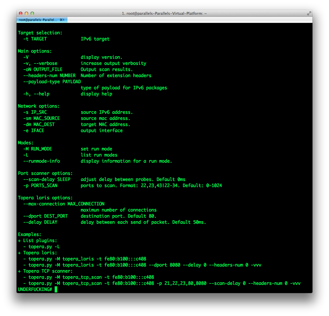 Brisk Info Sec: Topera IPv6 analysis tool: the other side